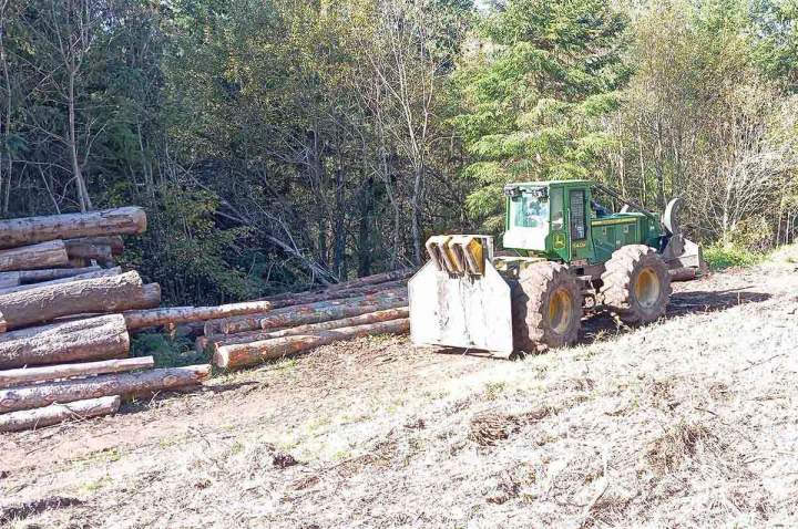 Maîtrise d'œuvre des travaux forestiers Haute-Loire