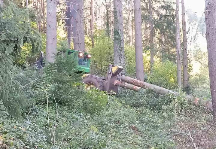 Votre partenaire pour des travaux forestiers bien réalisés