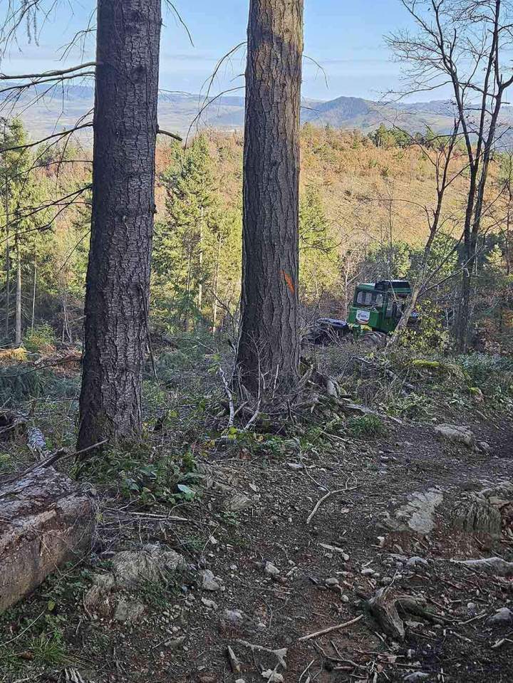 Maîtrise d'œuvre des travaux forestiers Haute-Loire