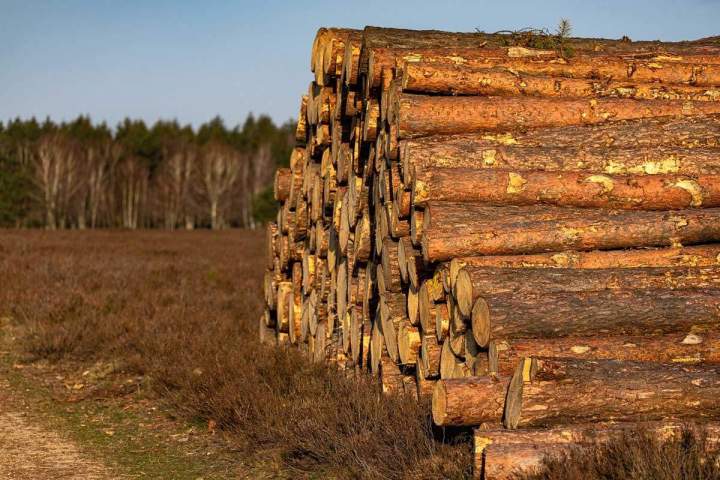 Vente de bois Haute-Loire