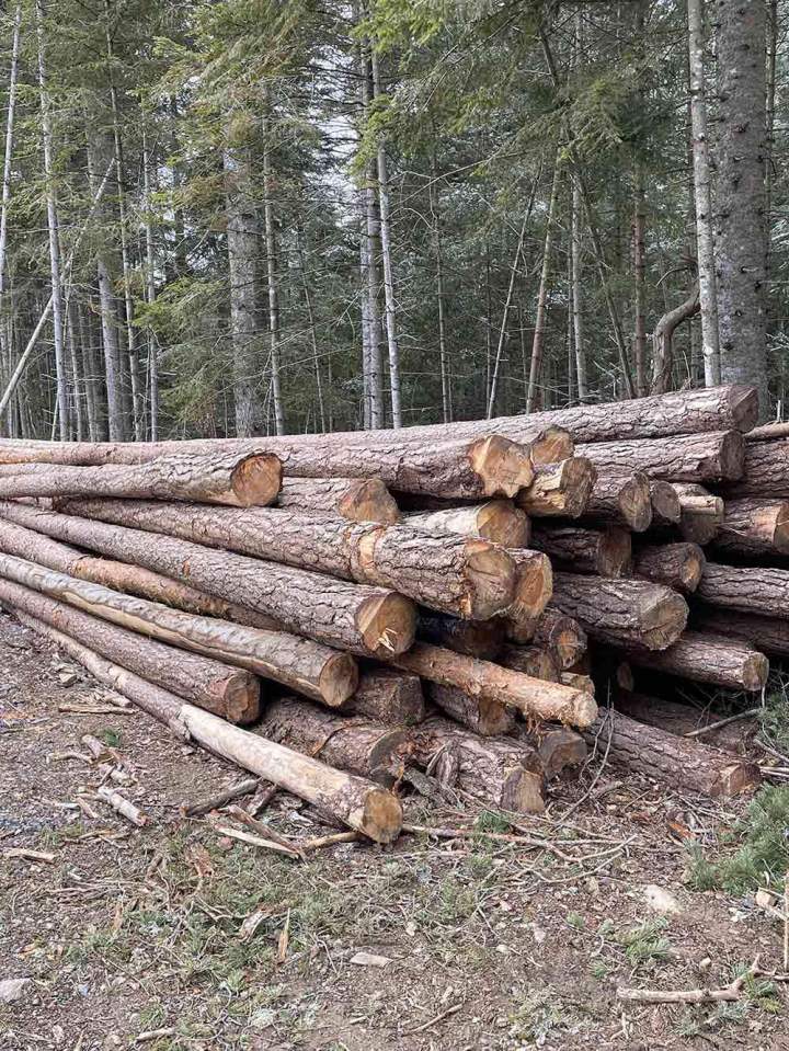 Vente de bois Haute-Loire