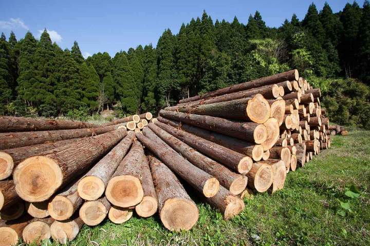 Fournisseur de bois Haute-Loire